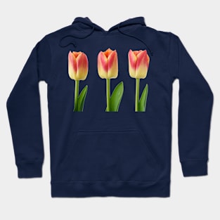 Tulipa &#39;Candy Corner&#39; Triumph Tulip Hoodie